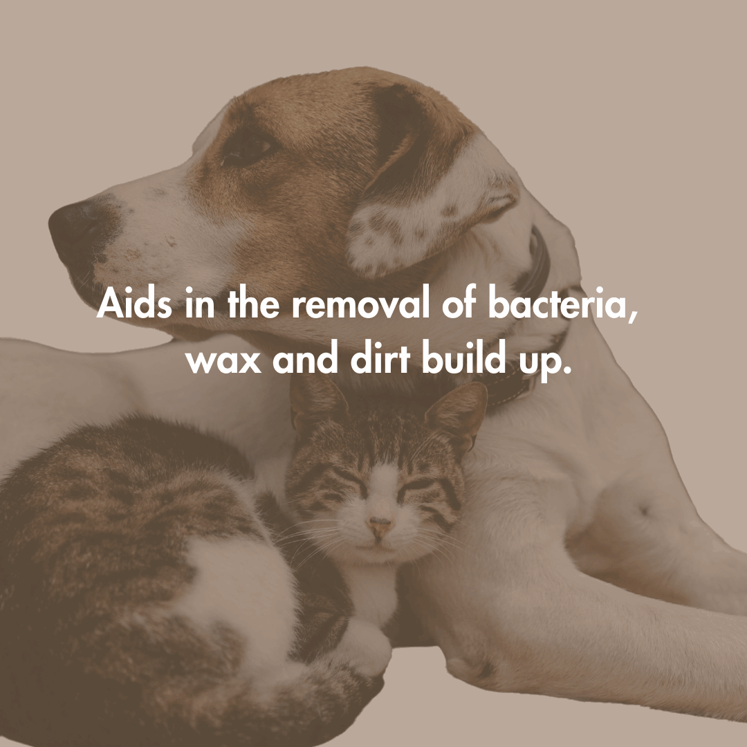 Every Ear Wash