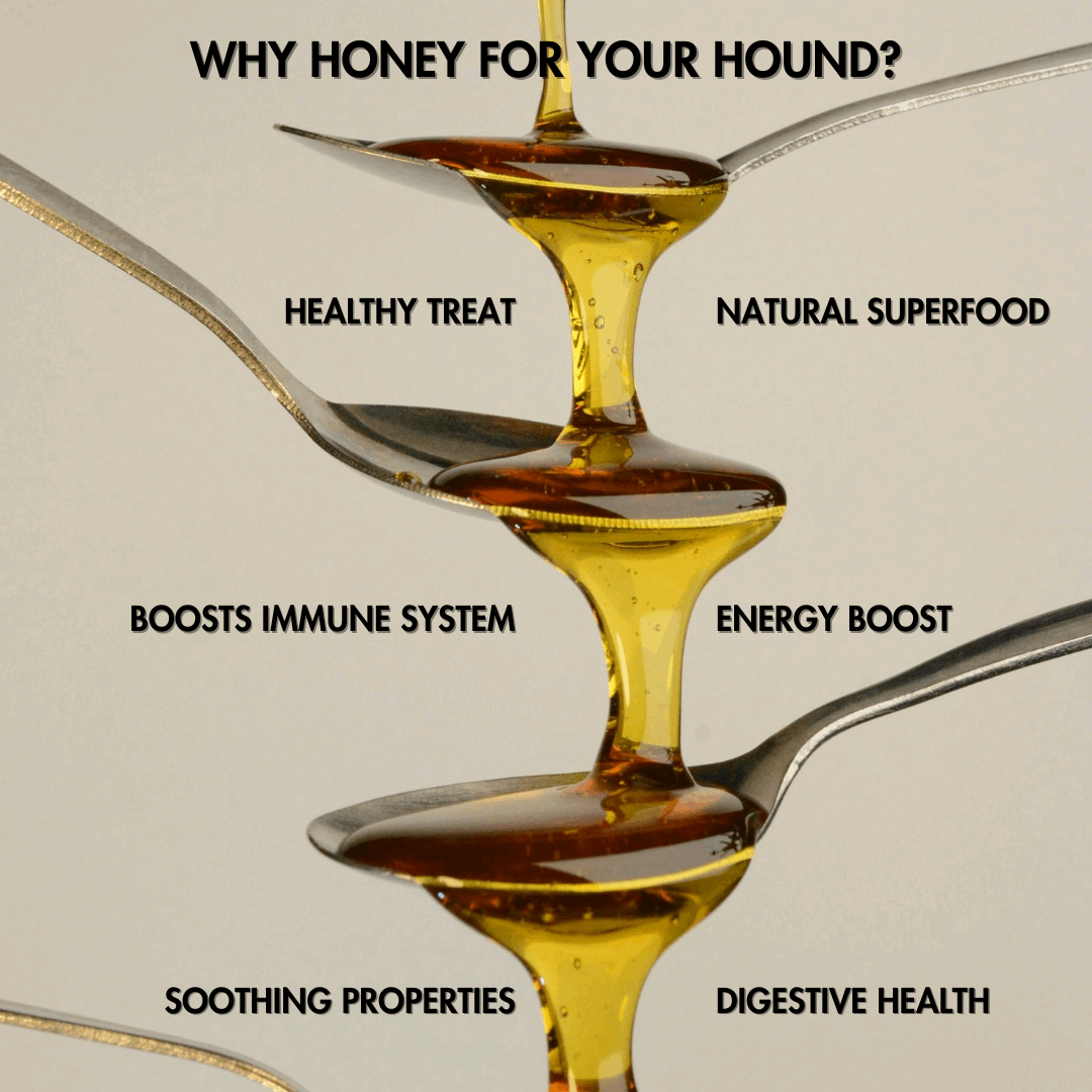Honey For Hounds