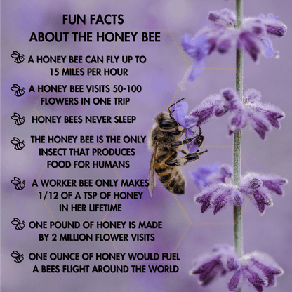 Honey For Hounds