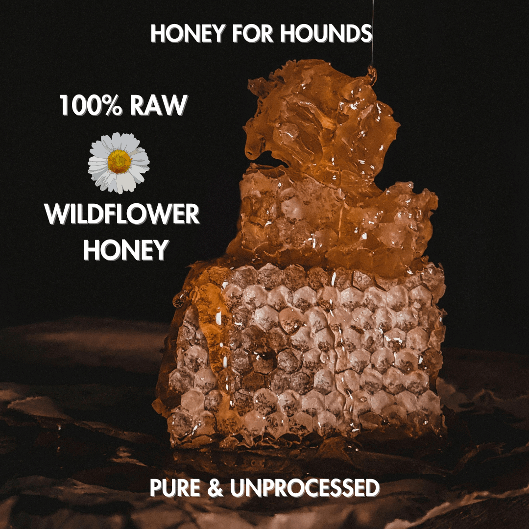 Honey For Hounds