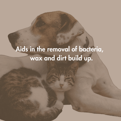 Every Ear Wash