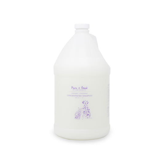 Lavender + Chamomile Concentrated Shampoo Gallon