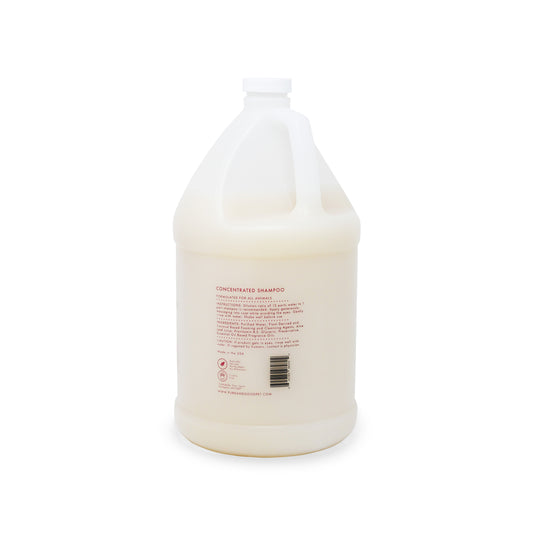 Sandalwood + Coconut Concentrated Shampoo Gallon