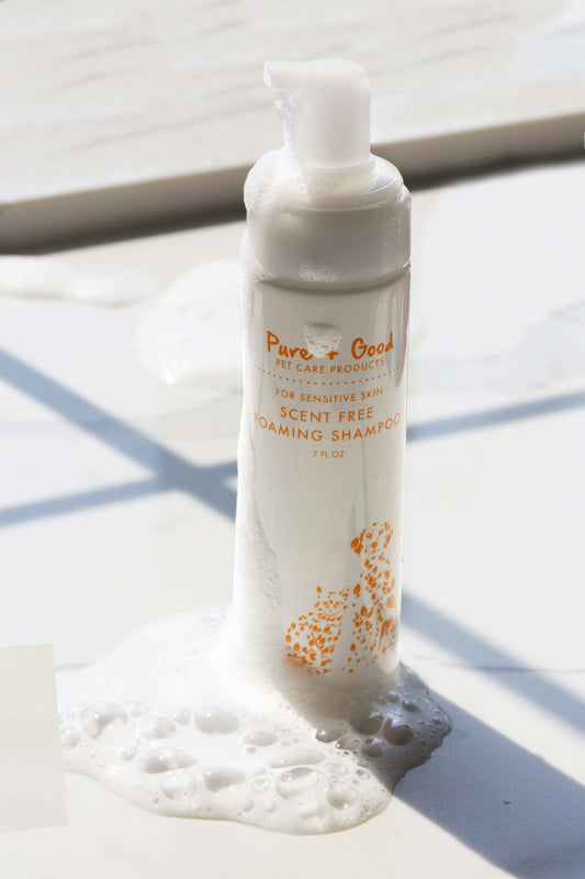 Scent Free Shampoo & Scent Free Foaming Shampoo Set