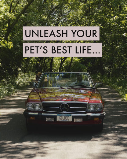 Sandalwood + Coconut Shampoo & Conditioner Set